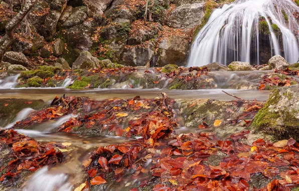 Картинка осень, листья, водопад, colorful, nature, autumn, leaves, waterfall