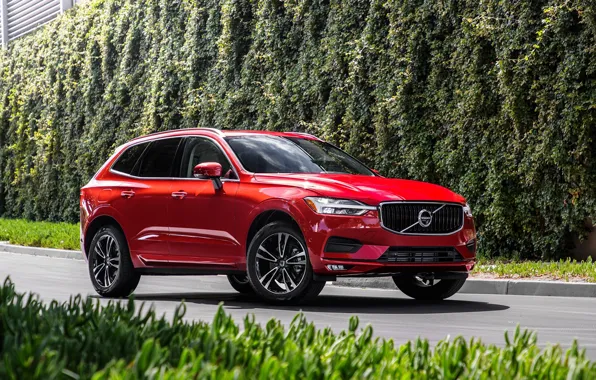 Дорога, car, машина, Volvo, red, сбоку, красная машина, колёса