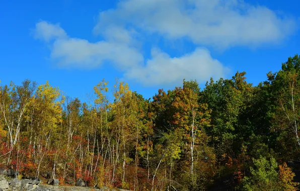 Картинка осень, небо, облака, деревья, скала