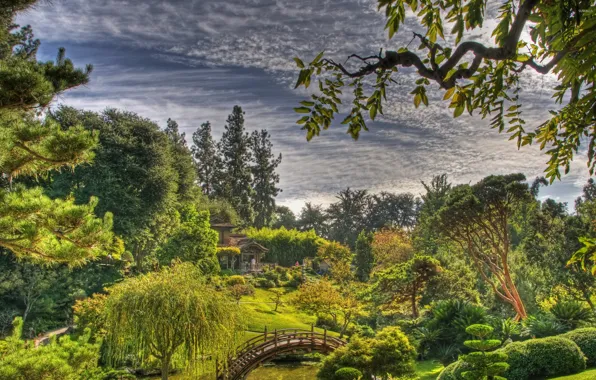 Картинка небо, облака, деревья, мостик, японский сад, japanese garden