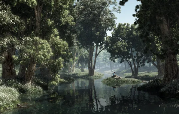 Картинка лес, деревья, озеро, пруд, листва, тишина, остров, тень