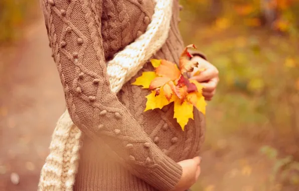 Картинка осень, листья, девушка, шарф, свитер, беременность