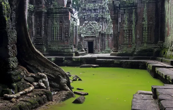 Камбоджа, Cambodia, Angkor Wat, древние руины, исчезнувшая цивилизация, Ta Prohm Temple