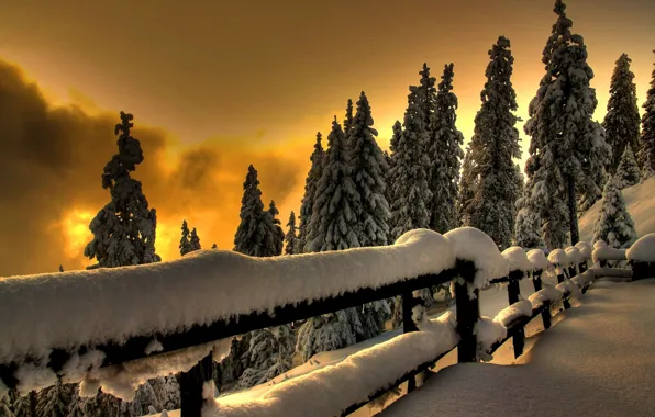 Картинка холод, зима, лес, снег, природа, фон, обои, пейзажи
