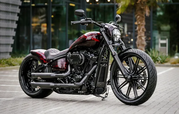 Картинка skull, Tuning, harley-davidson, burning, customized, 114, Thunderbike, softial