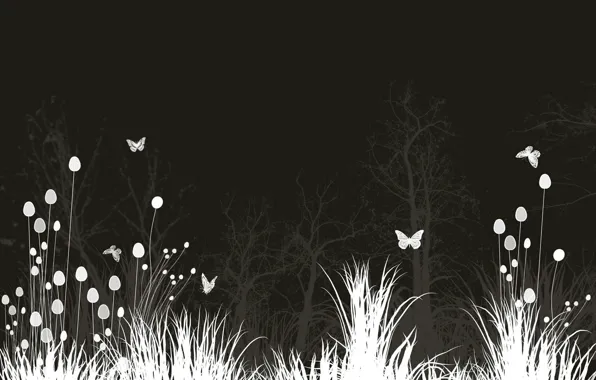 Цветы, Ночь, Бабочки, Луг