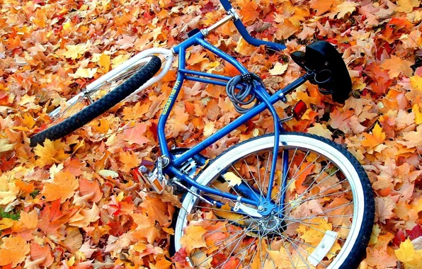 Осень, листья, желтый, велосипед, велик, брошенный