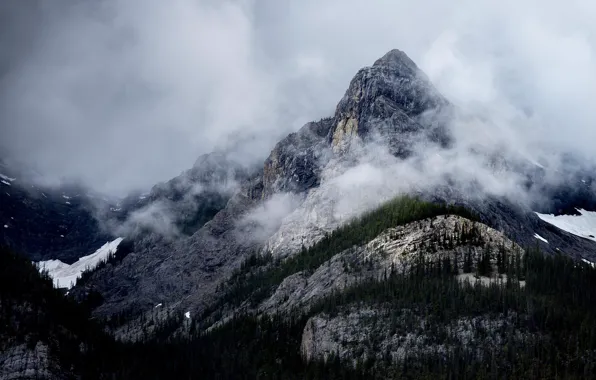 Небо, деревья, горы, природа, туман, скалы, Канада, Canada
