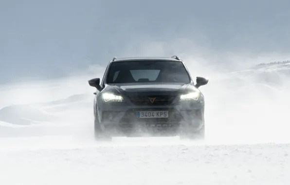 Снег, ветер, метель, SUV, Seat, Cupra, Ateca, 2019