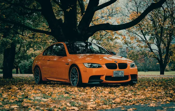 Картинка Autumn, E92, Leaves, Lime Rock Park Edition, M3