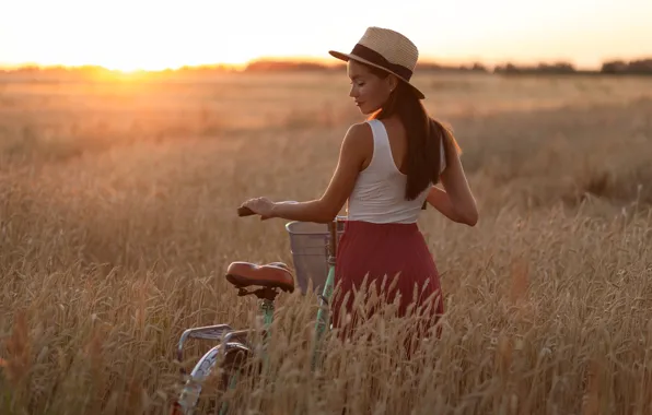 Картинка поле, лето, девушка, закат, велосипед, шляпа, колосья, Катя