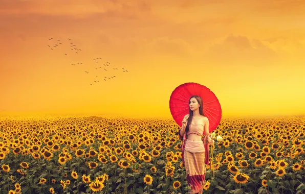 Лето, одна, красный зонт, cute, стая птиц, asian girl, поле подсолнухов, азиатская девушка