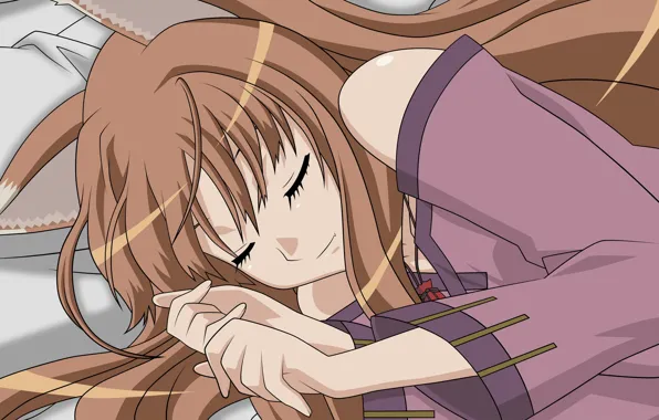 Horo, волчица и пряности, хоро, Spice and wolf