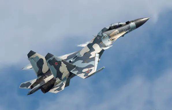 Flanker-C, Су-30МК, ударный самолёт, двухместный многоцелевой истребитель