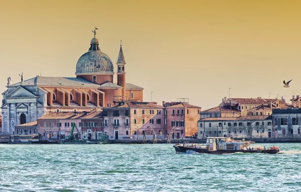 Картинка вода, птица, дома, катер, Италия, Венеция