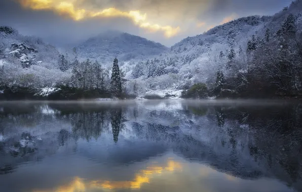 Картинка зима, иней, деревья, озеро