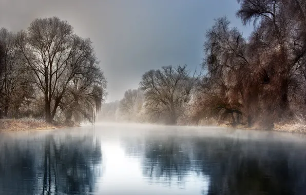 Картинка зима, иней, деревья, пейзаж, природа, туман, отражение, река