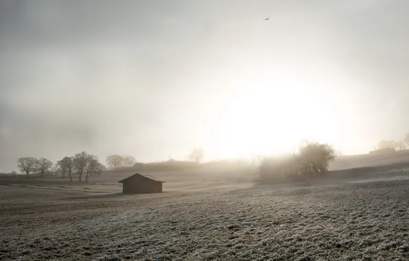 Картинка поле, туман, дом, утро