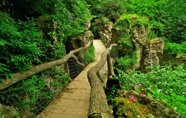 Картинка зелень, листья, ветки, мост, пруд, камни, Франция, Париж
