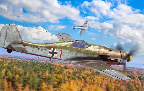 Истребитель-моноплан, Focke-Wulf, Люфтваффе, The Protector, немецкий одноместный одномоторный поршневой, Antonis (rOEN911) Karidis, FW-190 D-9, Red …