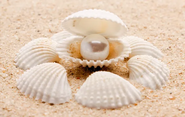Картинка песок, море, природа, sea, nature, pearl, sand, жемчужина