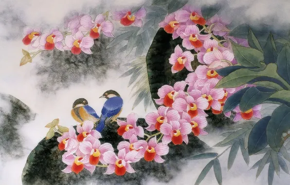 Картинка цветы, стиль, красота, Птицы, арт, орхидеи, китайский