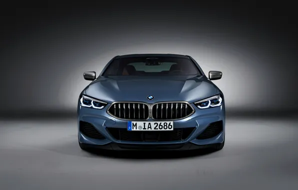 Фон, купе, BMW, вид спереди, Coupe, 2018, серо-синий, 8-Series