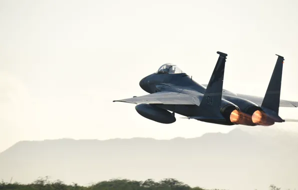 Eagle, F-15, ВВС США, четвёртого поколения, McDonnell Douglas, американский всепогодный истребитель