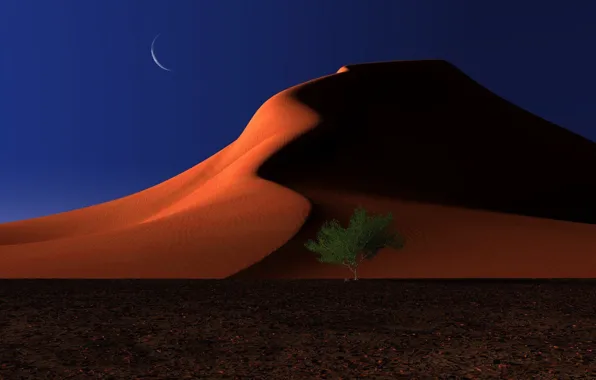 Песок, ночь, дерево, луна, пустыня, дюны, digital, respite