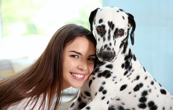 Собака, далматин, dog, dalmatian
