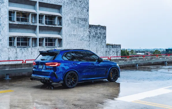 Blue, Rear view, X5M, F95