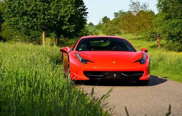 Дорога, небо, трава, деревья, красный, ferrari, феррари, road