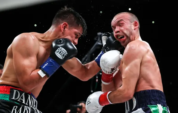 Картинка Boxing, Daniel Roman, TJ Doheny