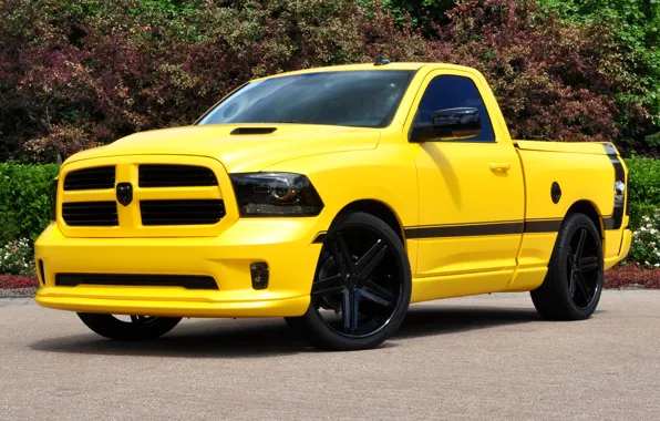 Картинка Dodge, yellow, front, 1500, track, ram, rumble bee concept