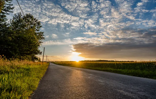 Картинка дорога, свет, утро