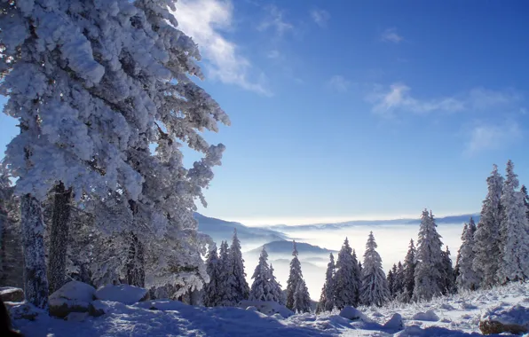 Картинка зима, лес, снег, горы, Природа