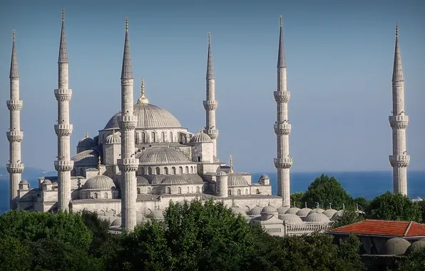 Istanbul, Turkey, Mosque, Sultanahnmet