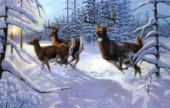 Картинка зима, лес, животные, солнце, лучи, снег, ель, живопись