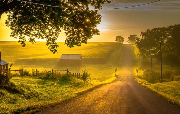 Картинка дорога, рассвет, утро, деревня, Sultry Morning