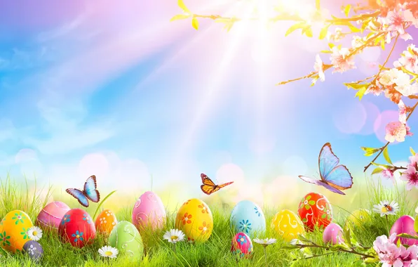 Цветы, яйца, весна, colorful, Пасха, happy, blossom, flowers