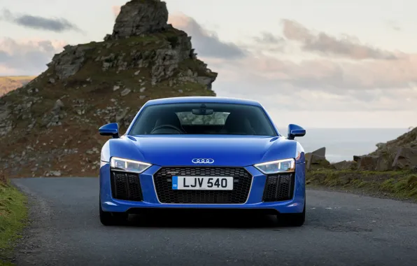 Audi R8, 2018, V10, RWS