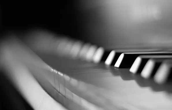 Картинка макро, клавиши, черно-белое, пианино