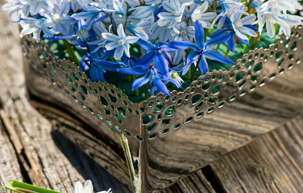 Wood, flowers, spring, basket, гиацинты