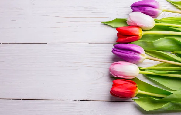 Цветы, букет, colorful, тюльпаны, red, white, wood, flowers