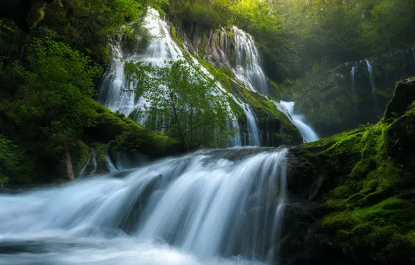 Картинка зелень, лес, лето, природа, река, водопад, весна, США