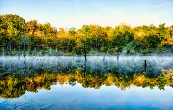 Небо, деревья, туман, озеро, отражение, зеркало