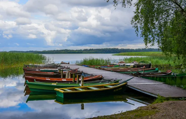 Лето, небо, трава, облака, ветки, озеро, берег, листва