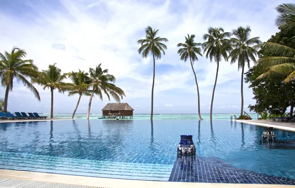 Пальмы, океан, бассейн, курорт, Maldives, Indian ocean, Meeru