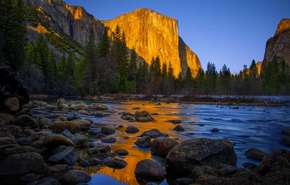 Деревья, река, гора, Калифорния, Йосемити, California, солнца, Yosemite National Park
