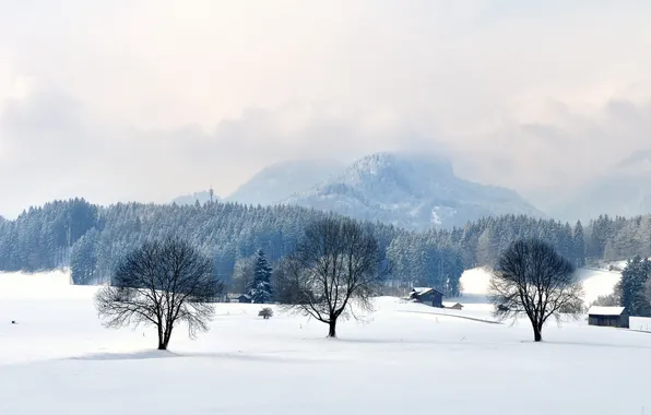 Картинка зима, деревья, пейзаж, горы